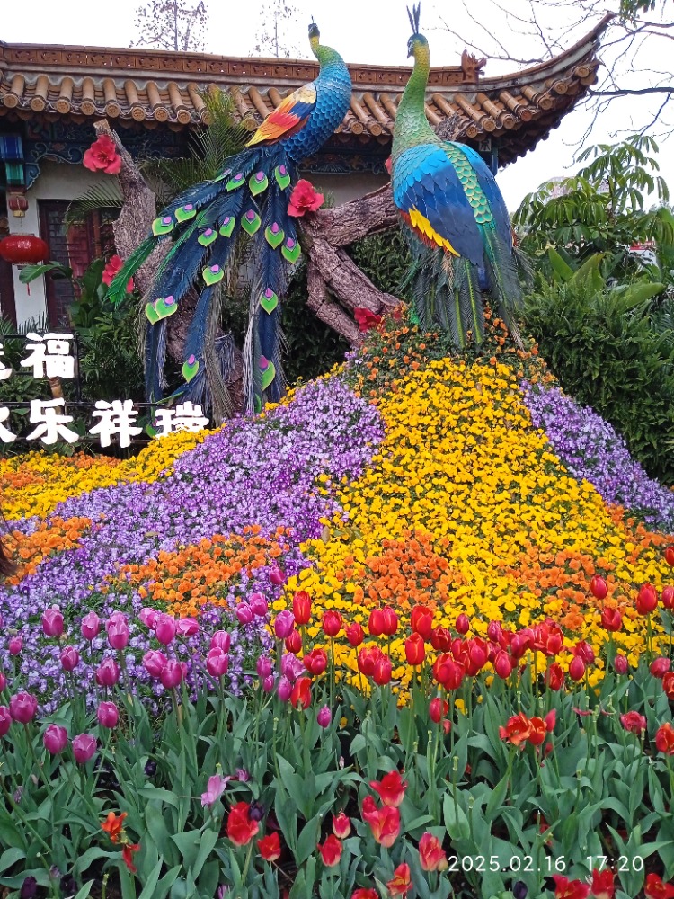 图片关键词